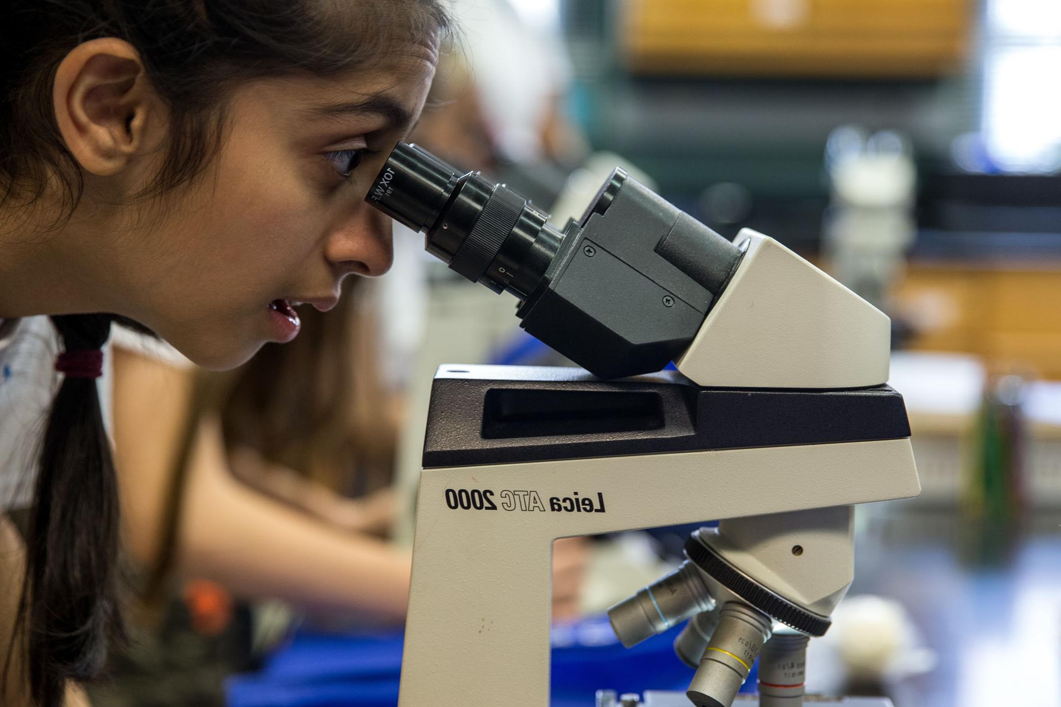 randolph_college_scifest_microscope.jpg